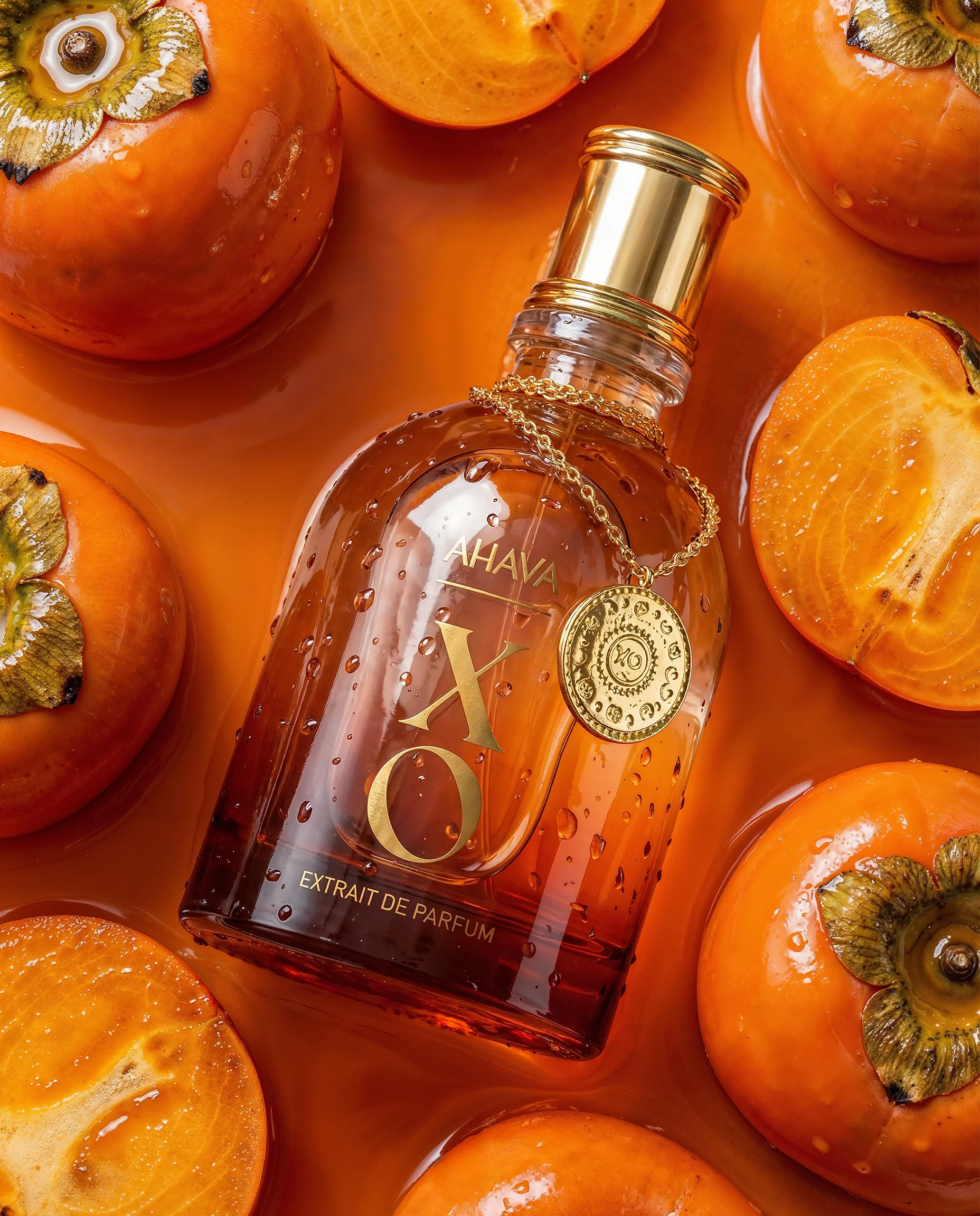 XO EXTRAIT DE PARFUM - Image 2